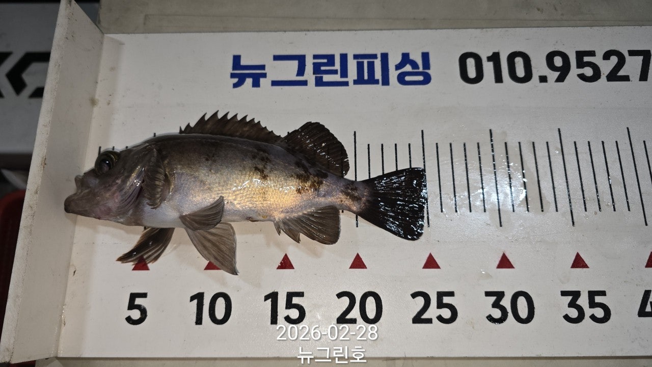 ����ڰ� �ø� �̹���