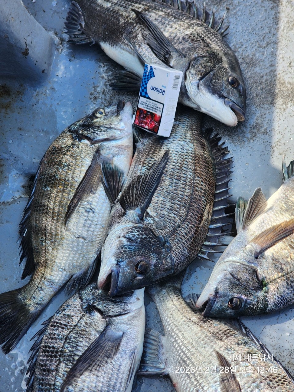 ����ڰ� �ø� �̹���