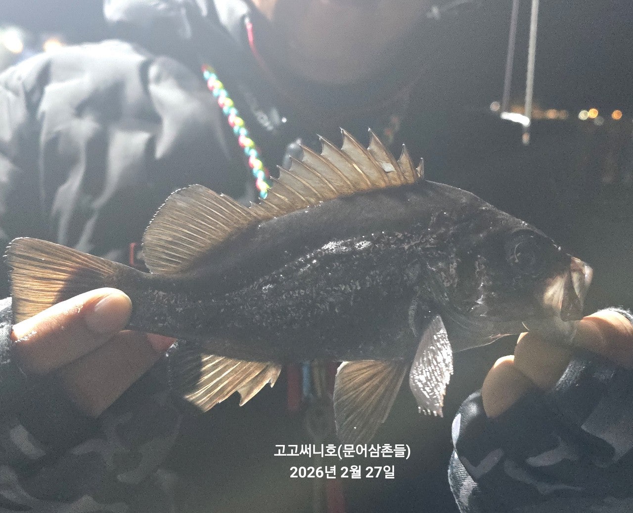 ����ڰ� �ø� �̹���