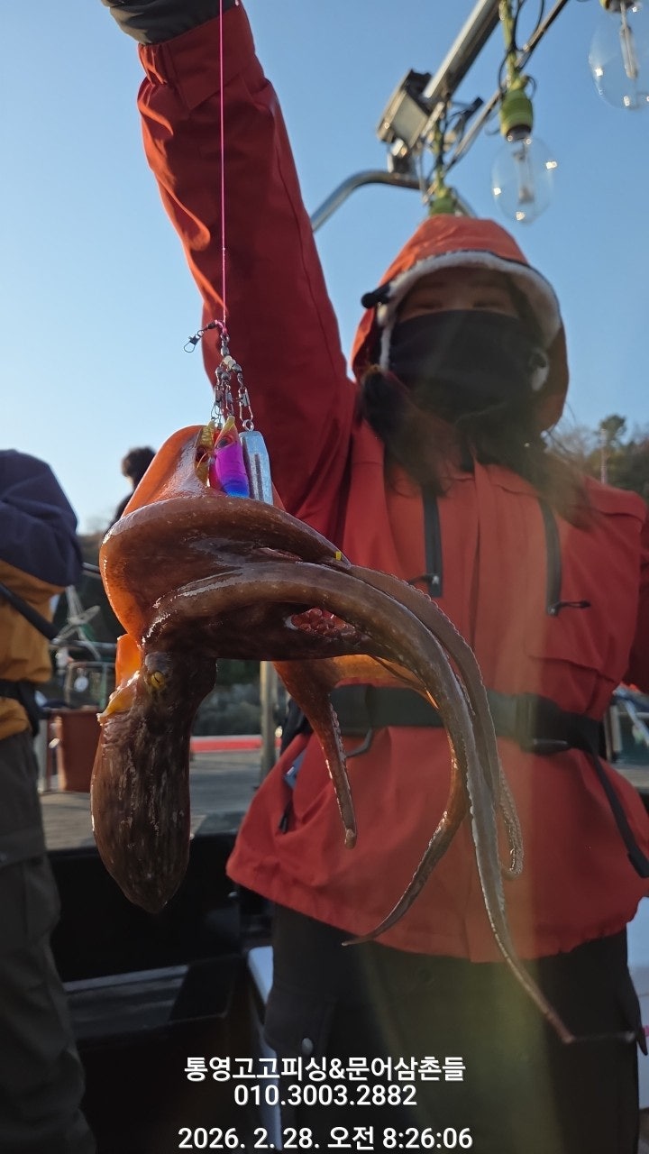 ����ڰ� �ø� �̹���