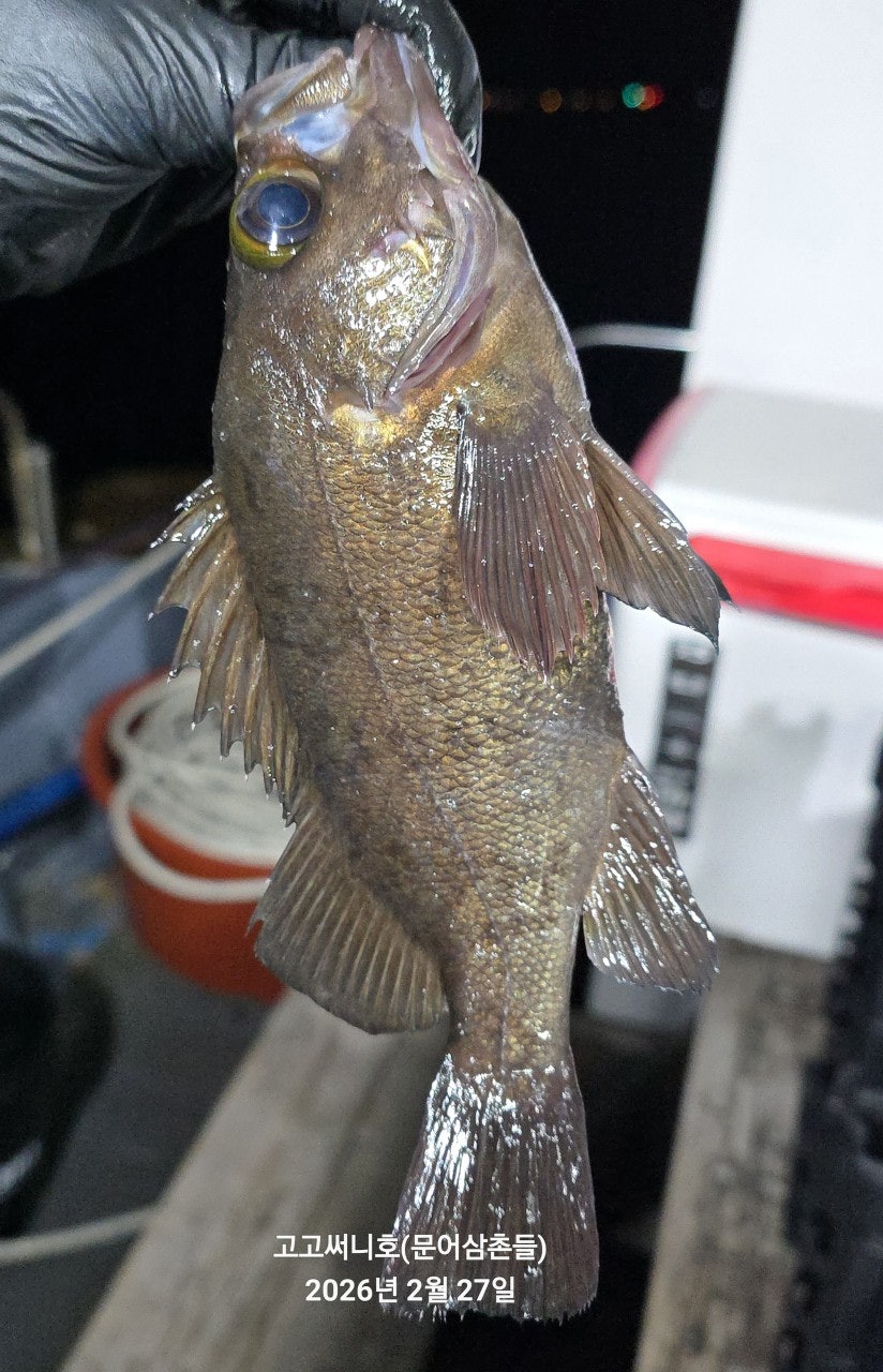 ����ڰ� �ø� �̹���