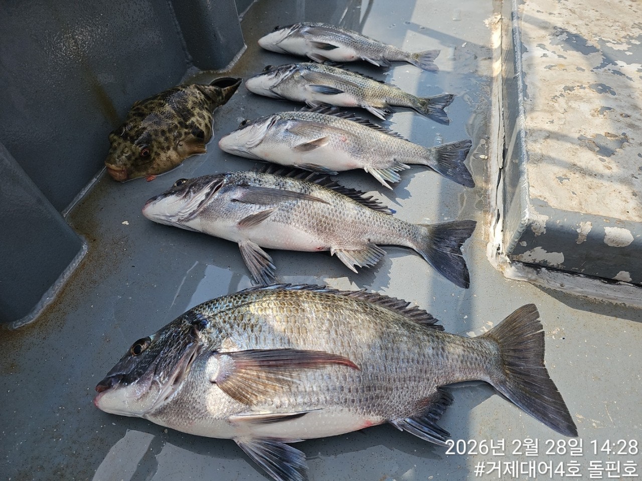 ����ڰ� �ø� �̹���