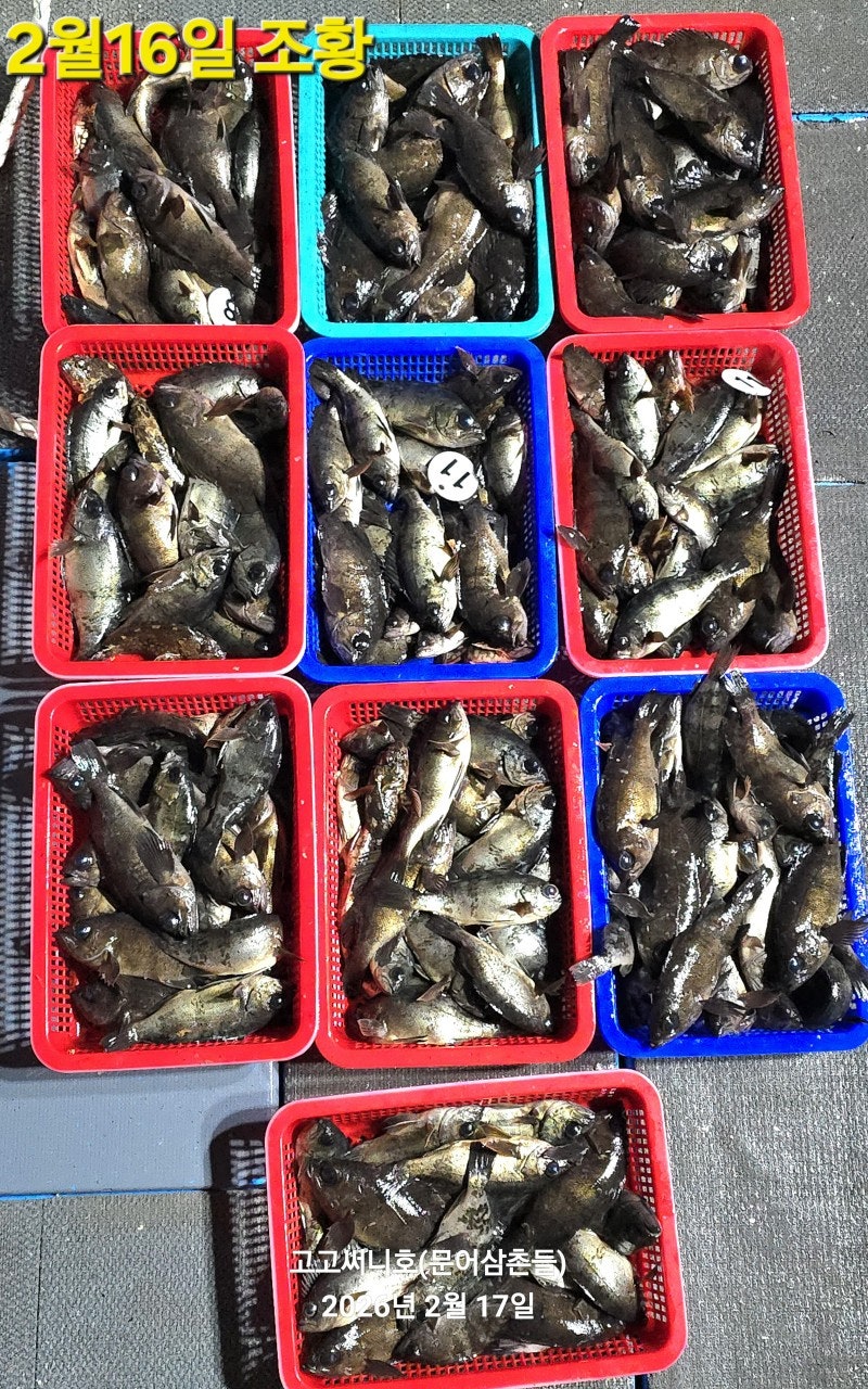 ����ڰ� �ø� �̹���