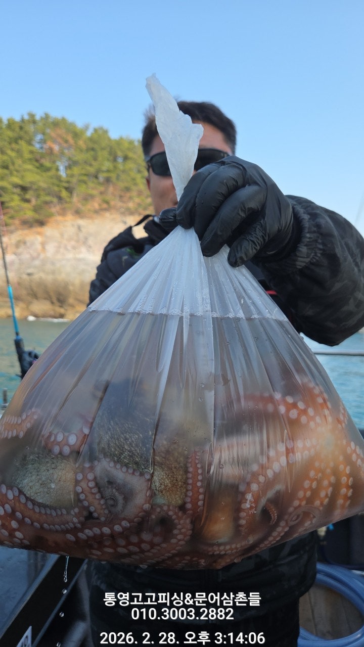 ����ڰ� �ø� �̹���