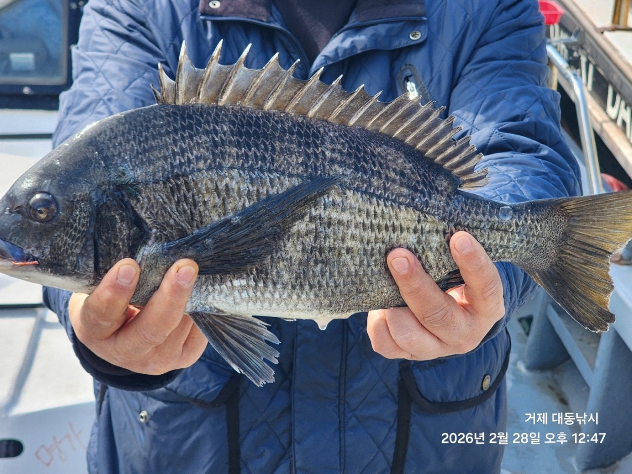 ����ڰ� �ø� �̹���