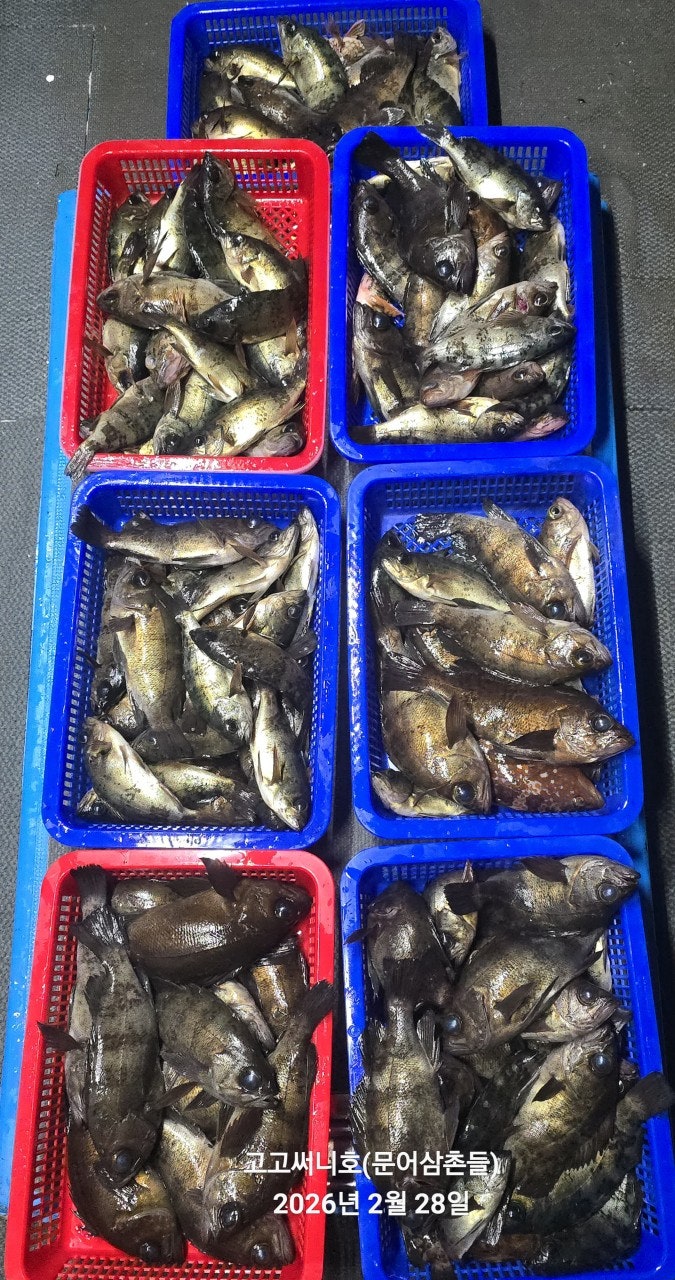 ����ڰ� �ø� �̹���