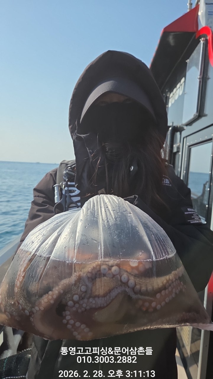 ����ڰ� �ø� �̹���