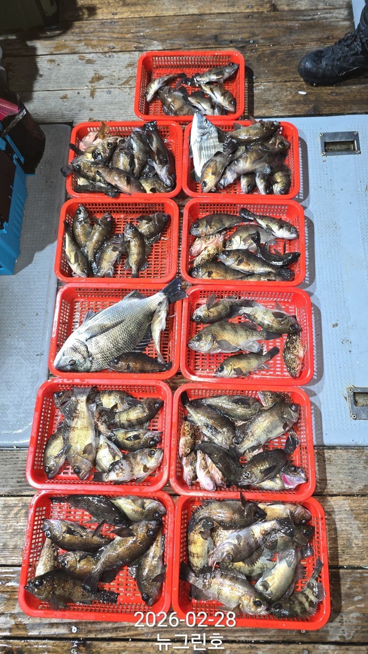 ����ڰ� �ø� �̹���