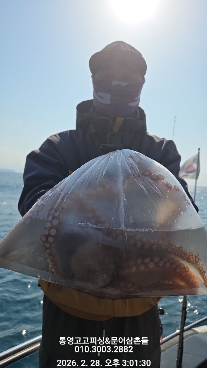 ����ڰ� �ø� �̹���