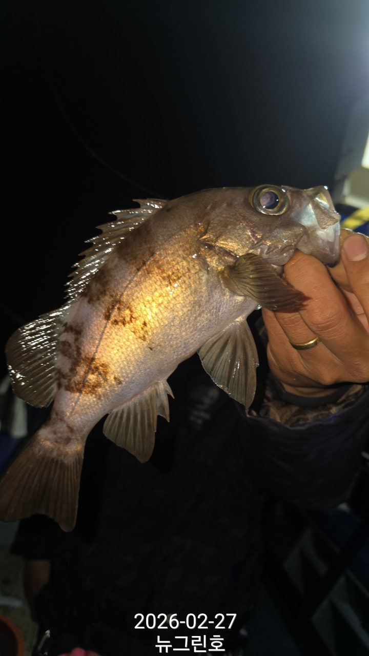 ����ڰ� �ø� �̹���