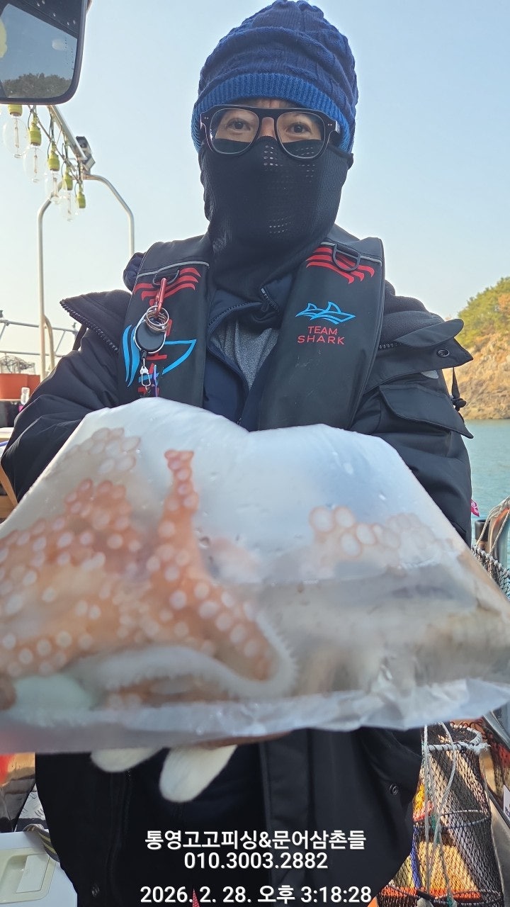 ����ڰ� �ø� �̹���