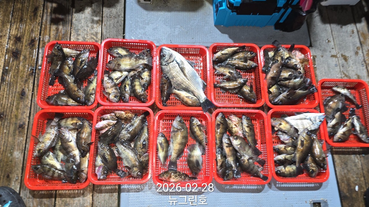 ����ڰ� �ø� �̹���