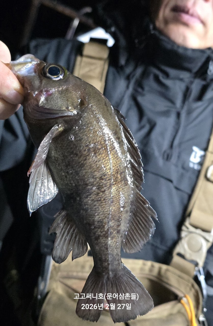 ����ڰ� �ø� �̹���