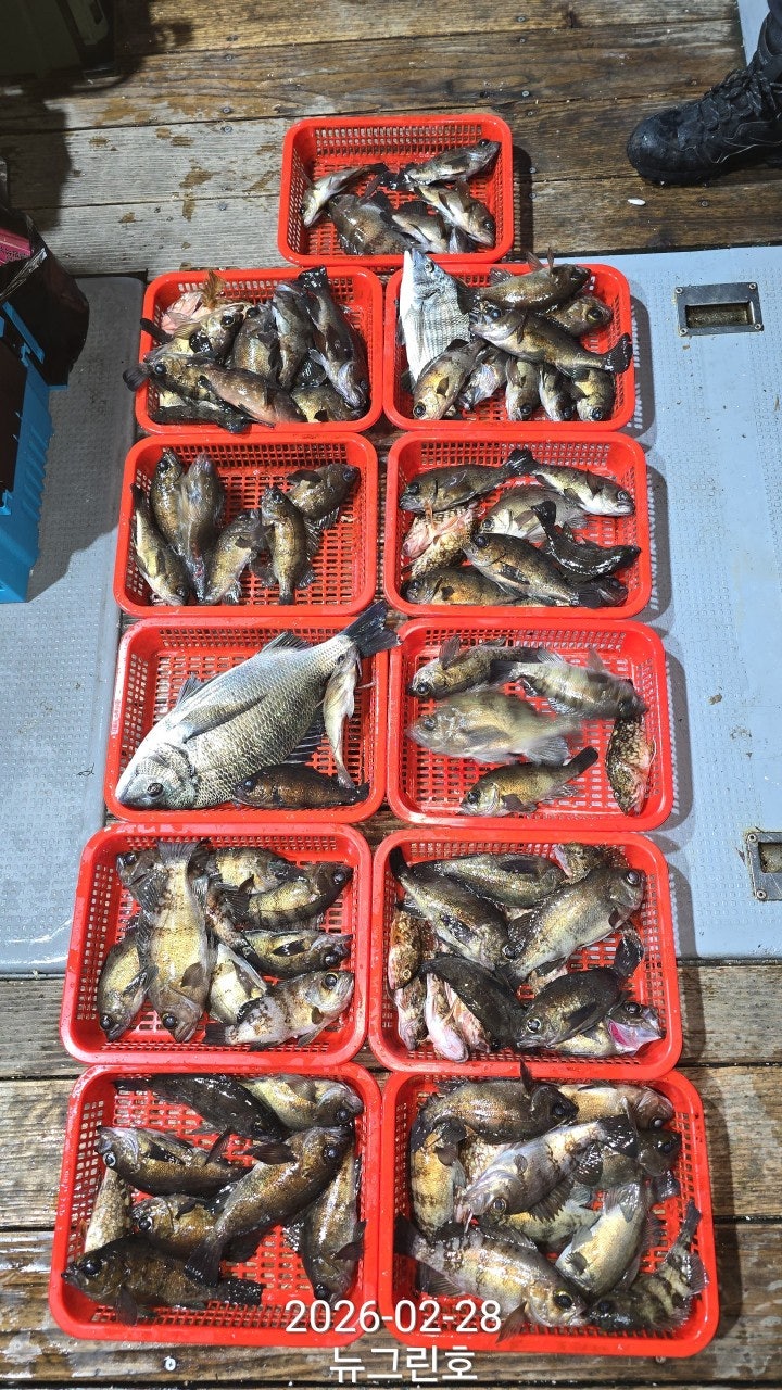 ����ڰ� �ø� �̹���