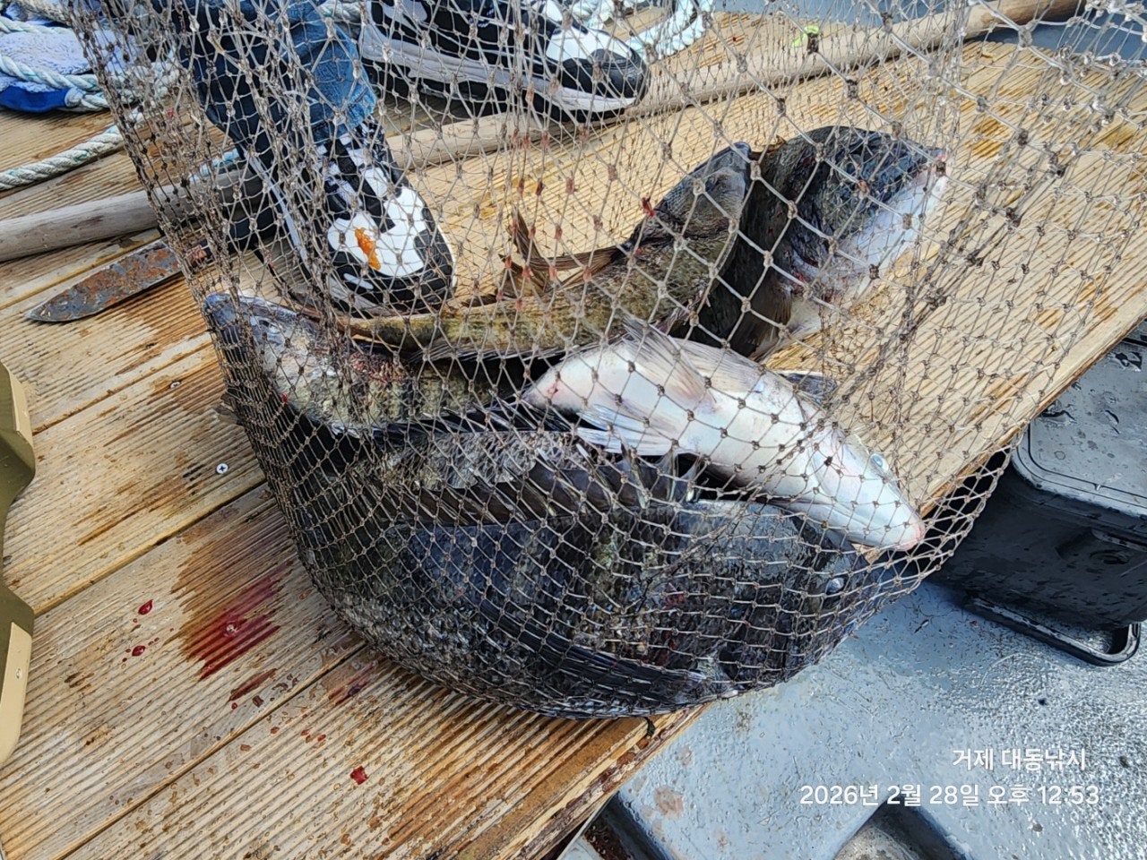 ����ڰ� �ø� �̹���