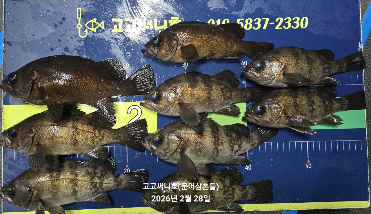 ����ڰ� �ø� �̹���