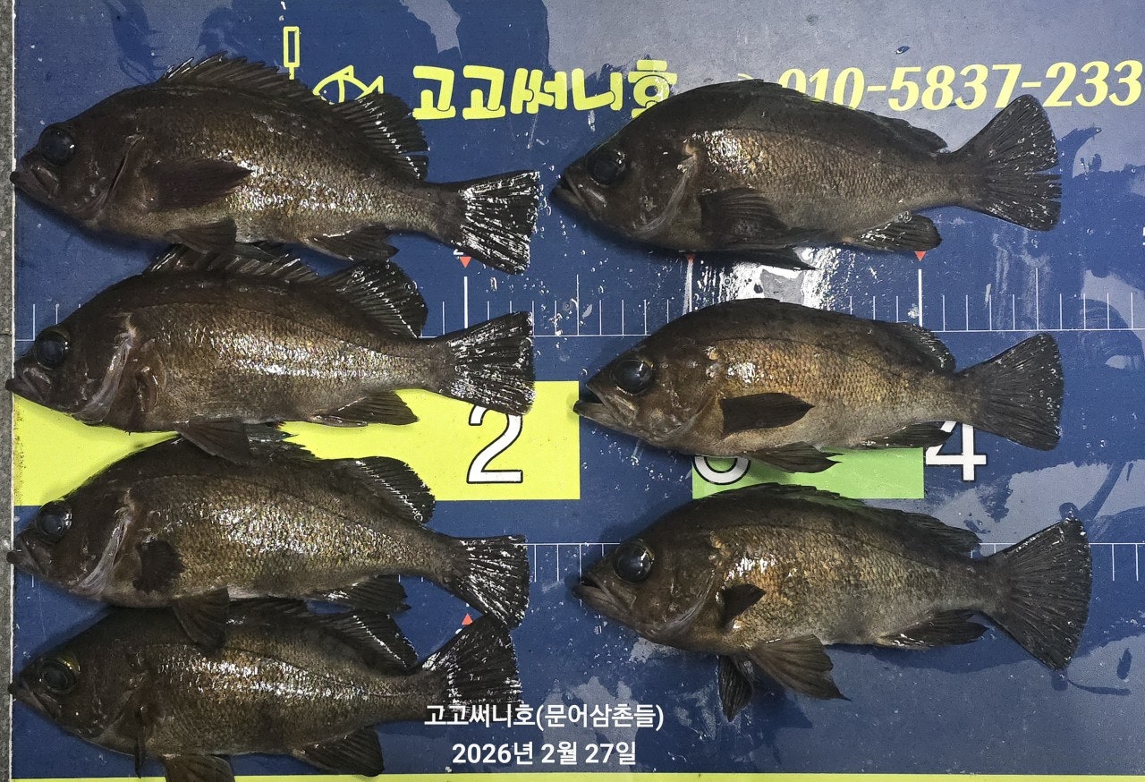 ����ڰ� �ø� �̹���