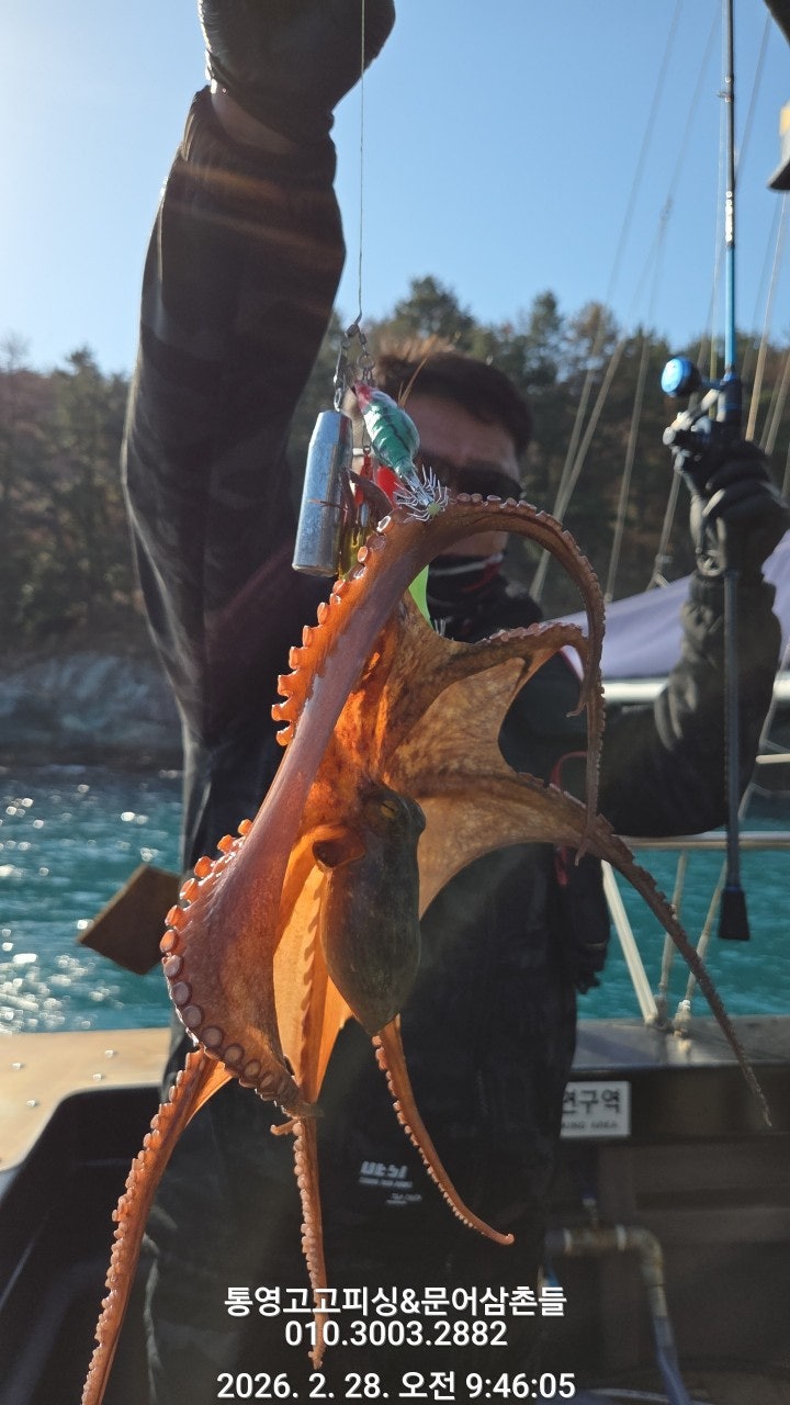 ����ڰ� �ø� �̹���