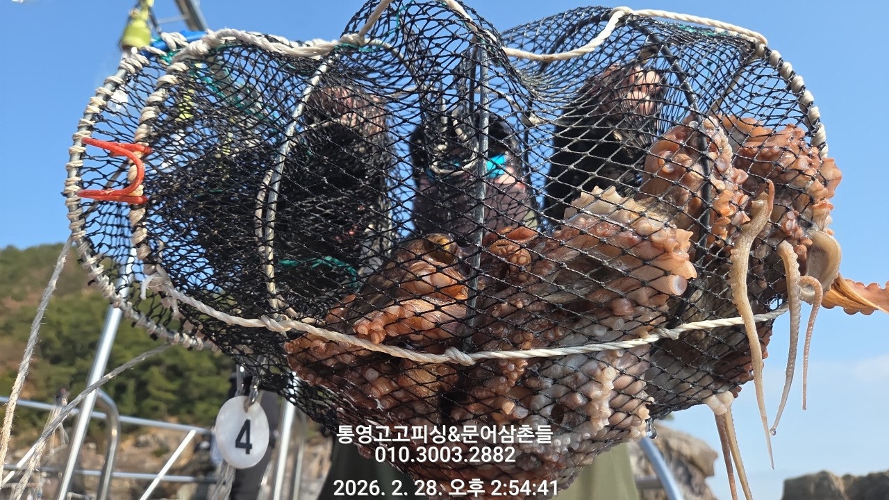 ����ڰ� �ø� �̹���