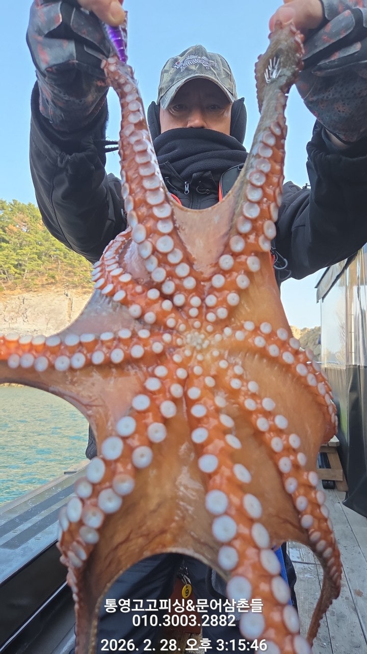 ����ڰ� �ø� �̹���