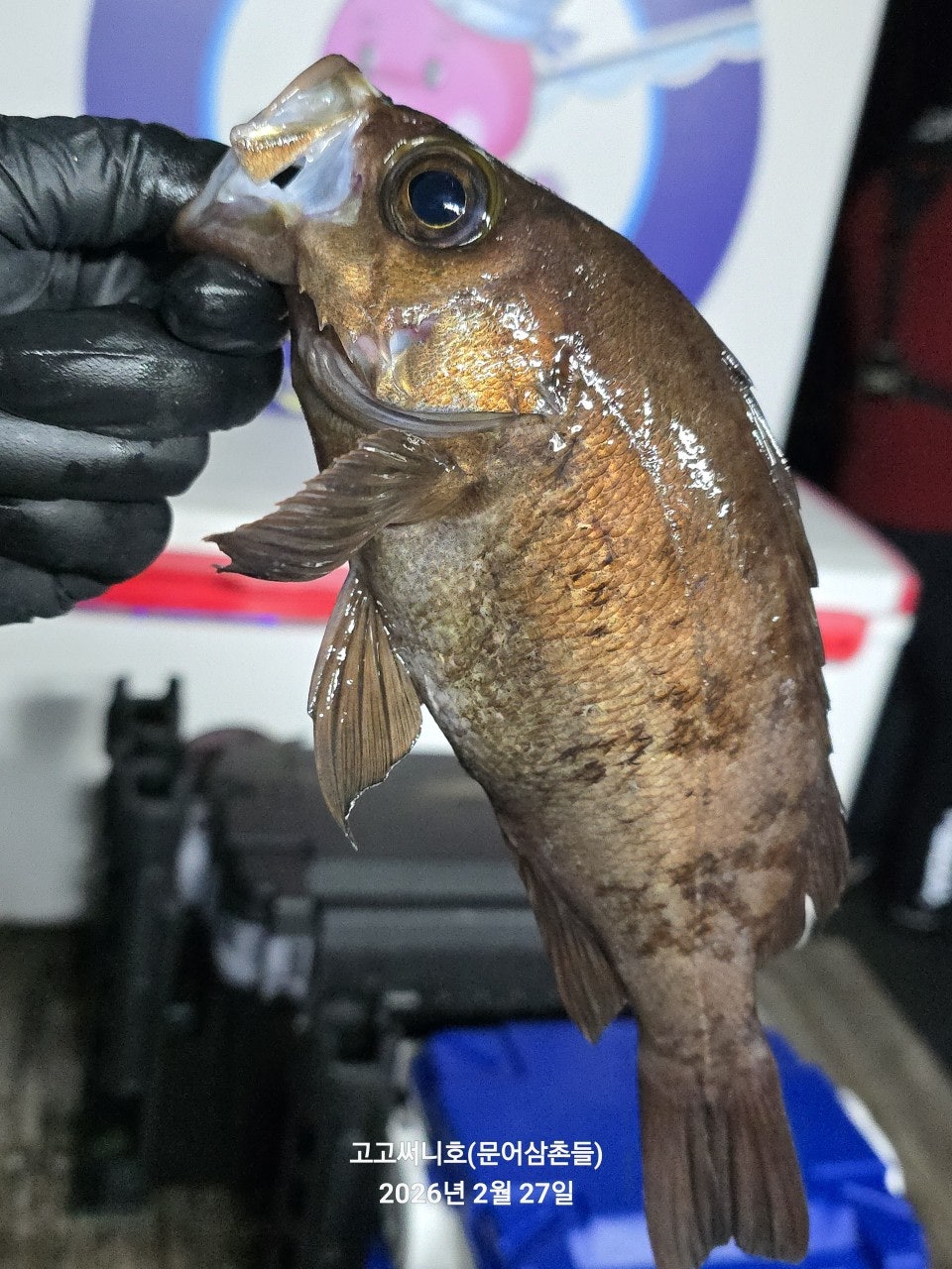 ����ڰ� �ø� �̹���