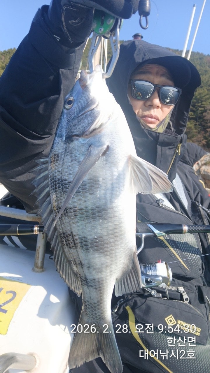 ����ڰ� �ø� �̹���