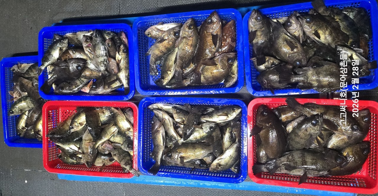 ����ڰ� �ø� �̹���