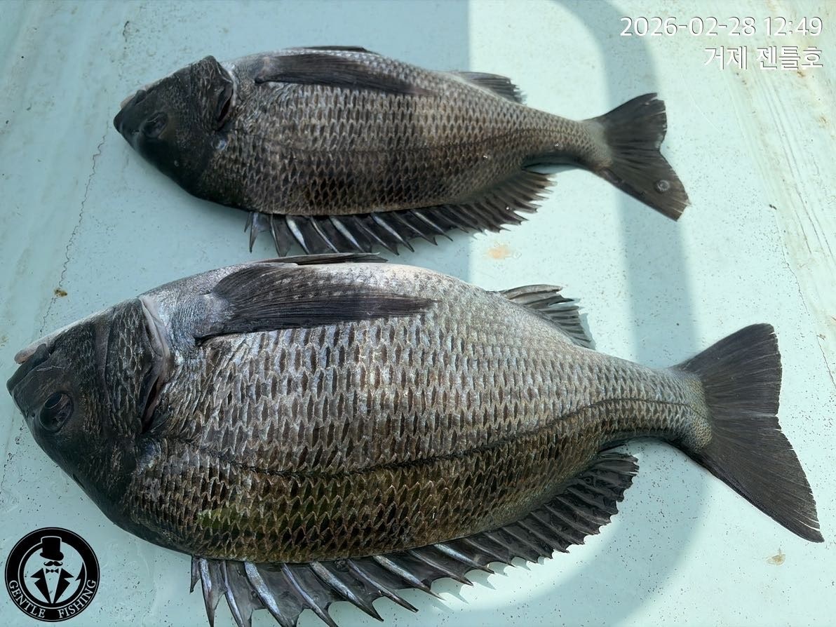 ����ڰ� �ø� �̹���