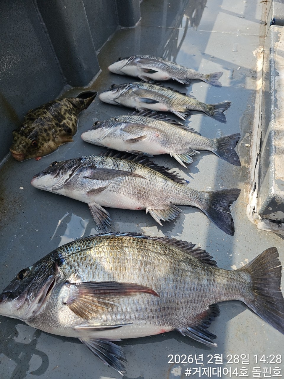 ����ڰ� �ø� �̹���