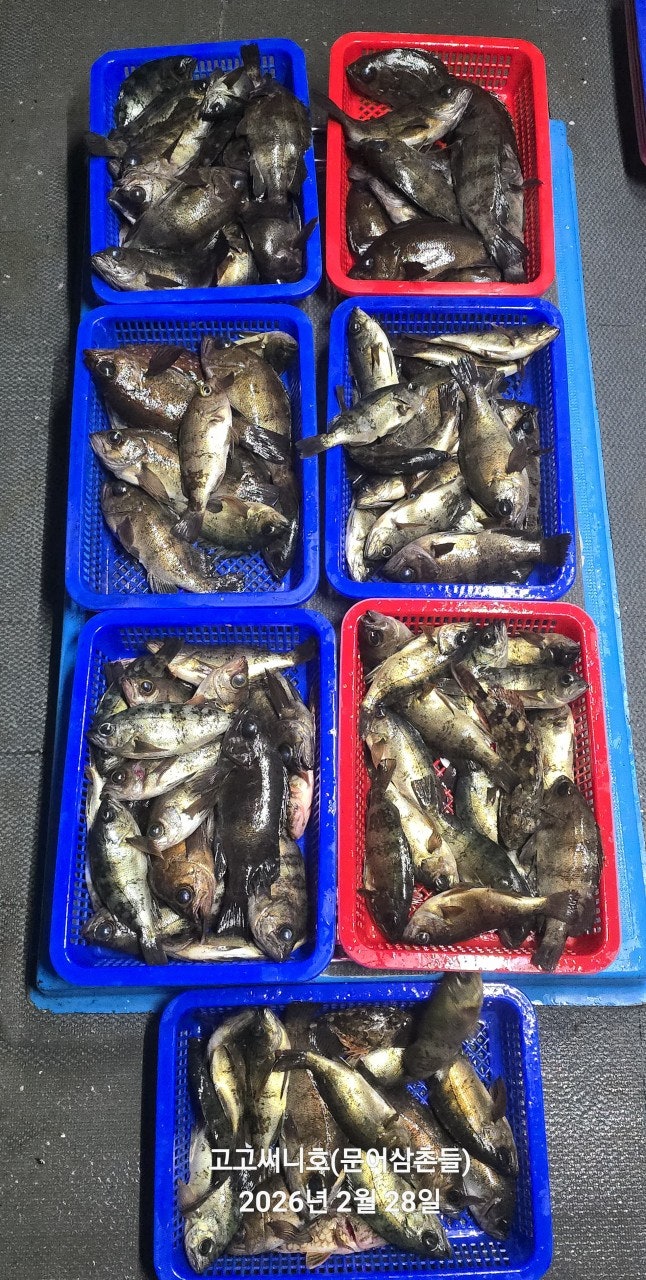 ����ڰ� �ø� �̹���