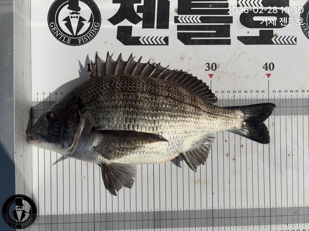 ����ڰ� �ø� �̹���