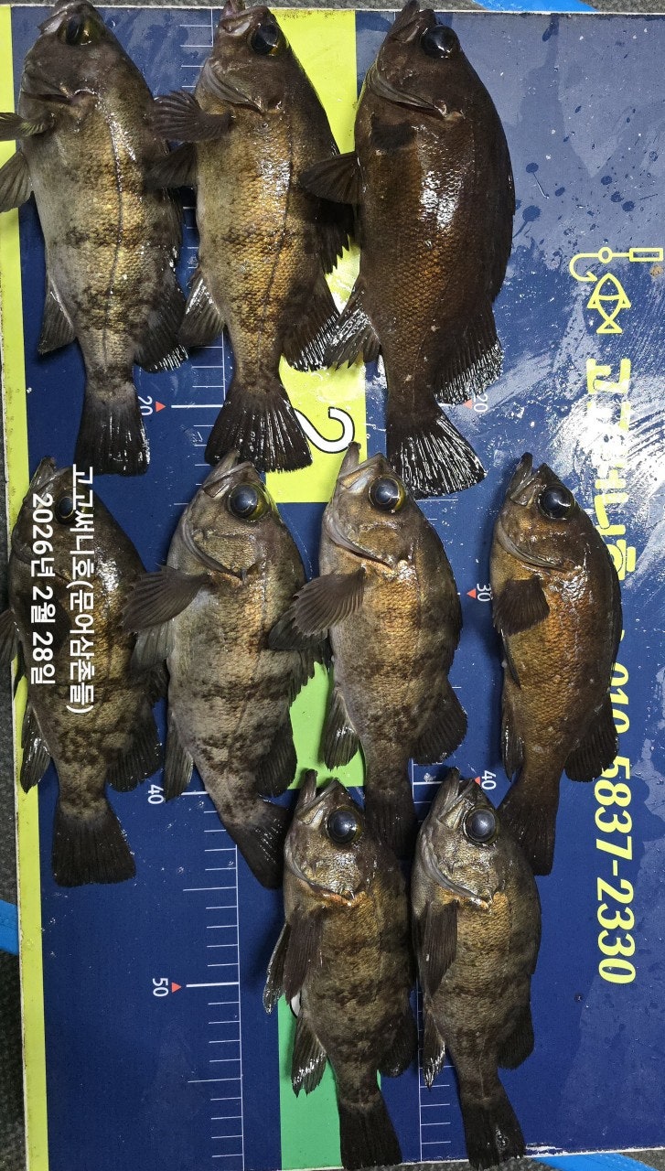 ����ڰ� �ø� �̹���