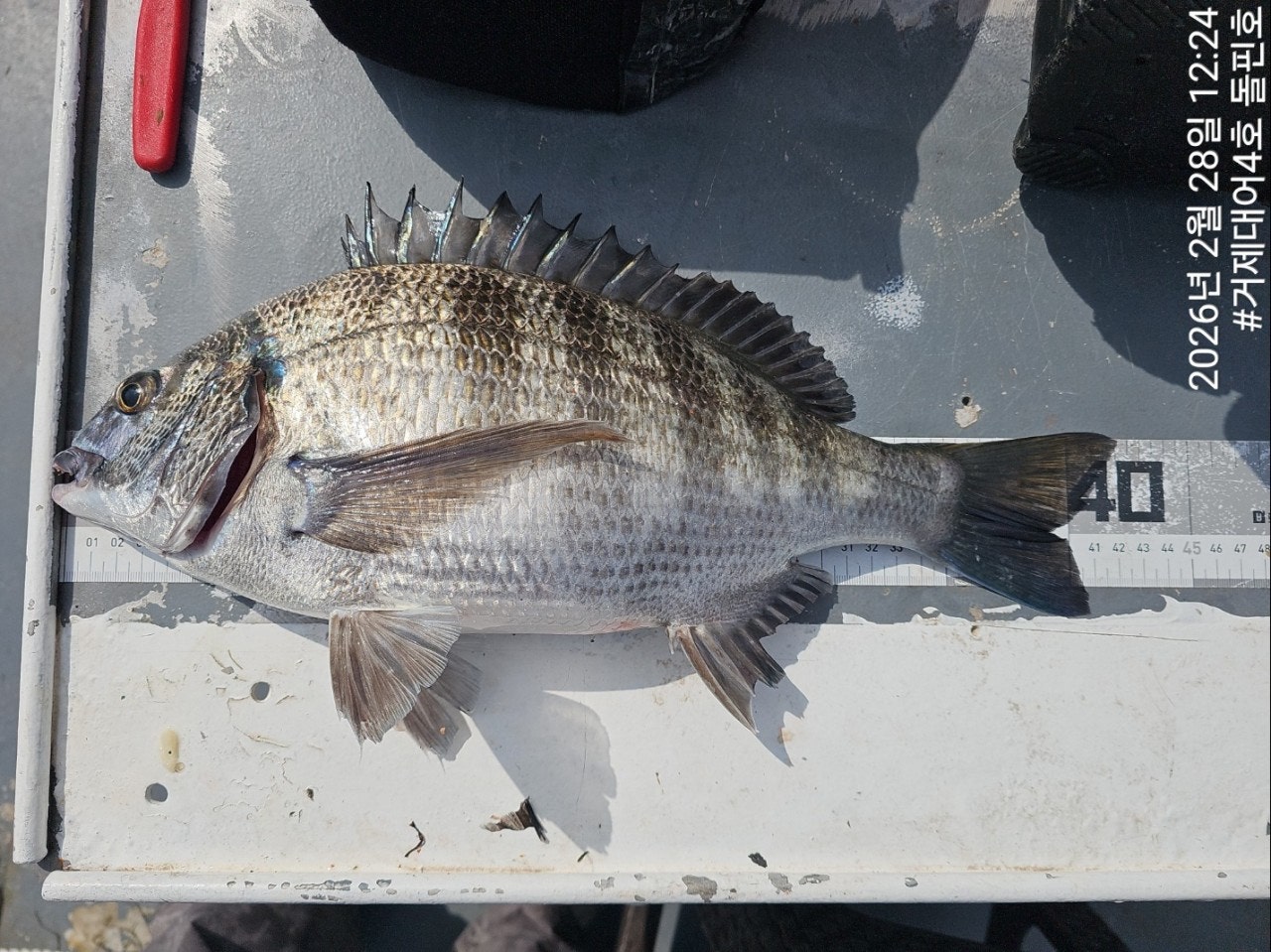 ����ڰ� �ø� �̹���