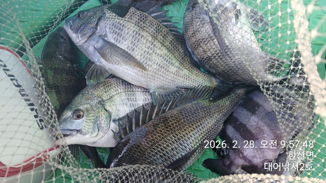 ����ڰ� �ø� �̹���