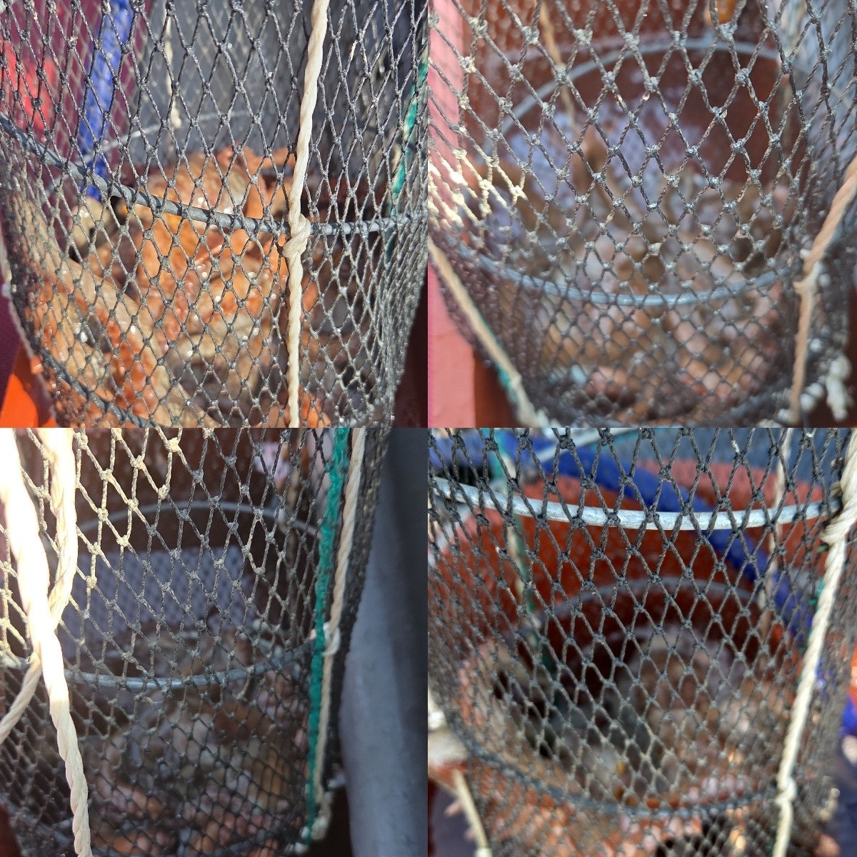 ����ڰ� �ø� �̹���