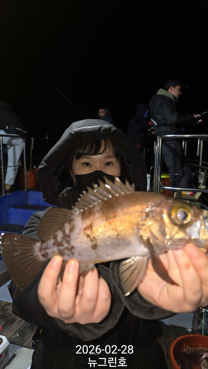 ����ڰ� �ø� �̹���