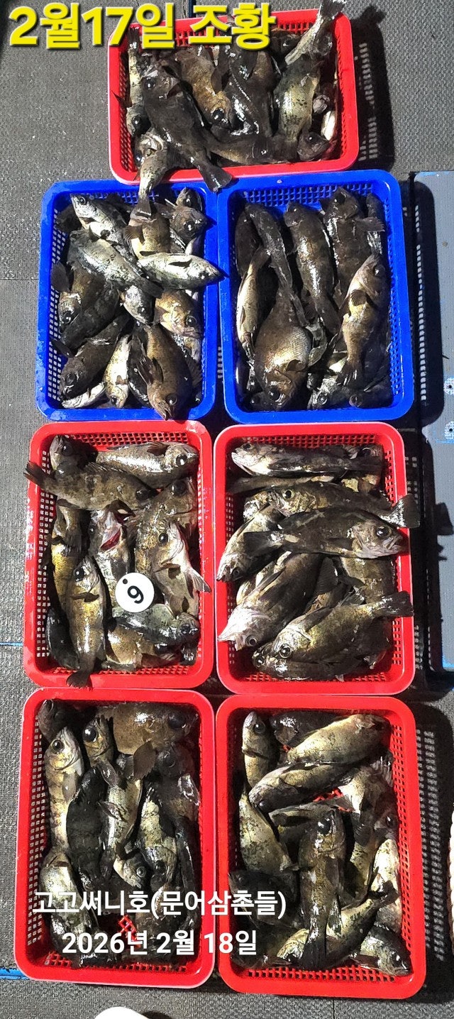 ����ڰ� �ø� �̹���