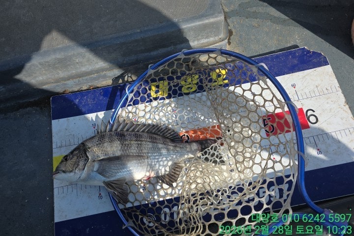 ����ڰ� �ø� �̹���