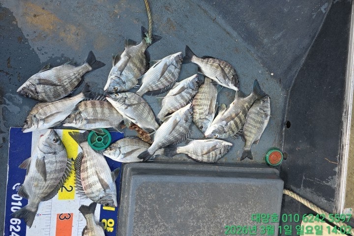 ����ڰ� �ø� �̹���