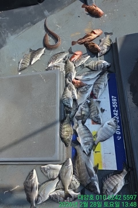 ����ڰ� �ø� �̹���