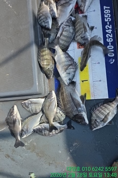 ����ڰ� �ø� �̹���