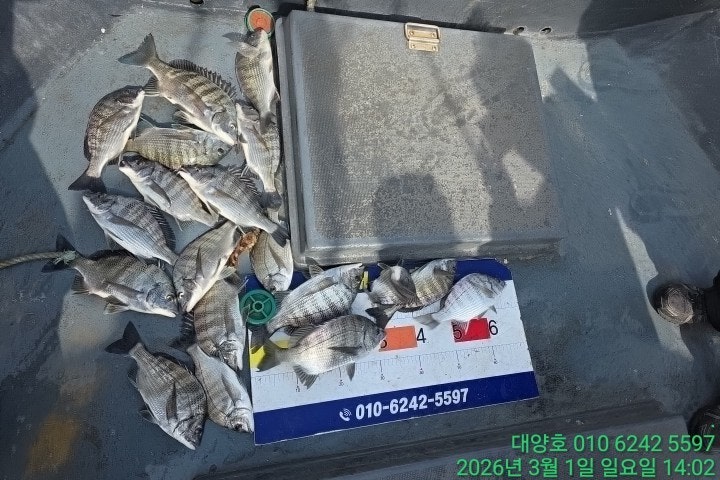 ����ڰ� �ø� �̹���