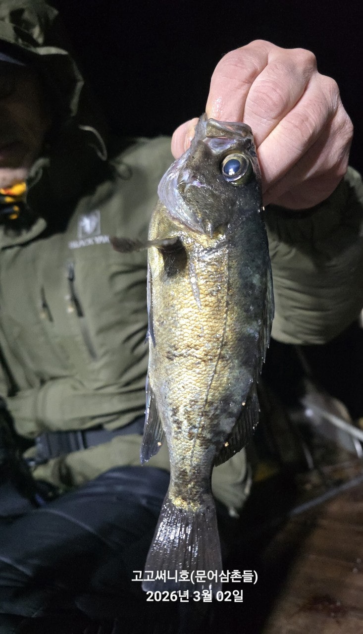 ����ڰ� �ø� �̹���