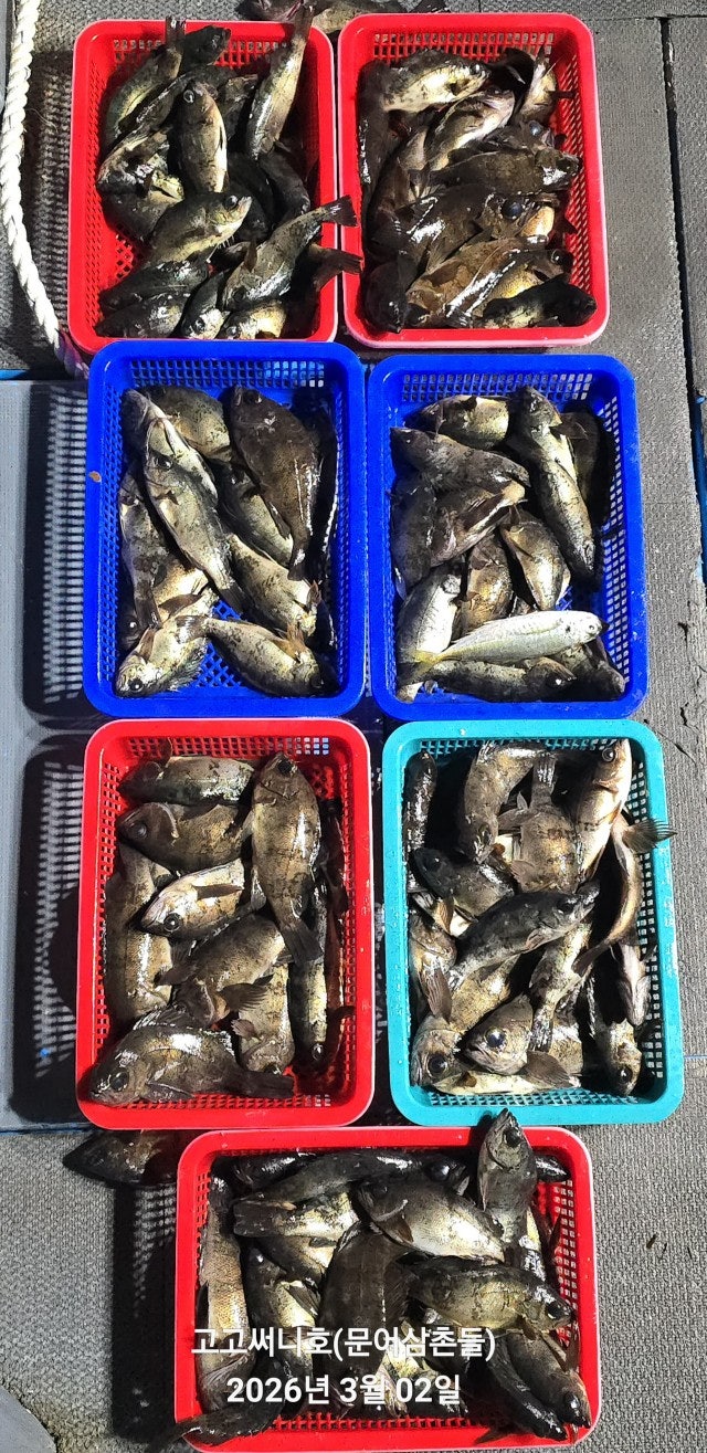 ����ڰ� �ø� �̹���