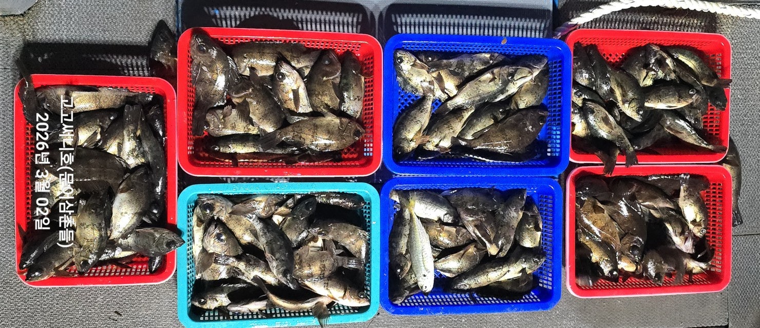 ����ڰ� �ø� �̹���