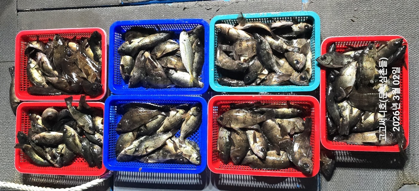 ����ڰ� �ø� �̹���