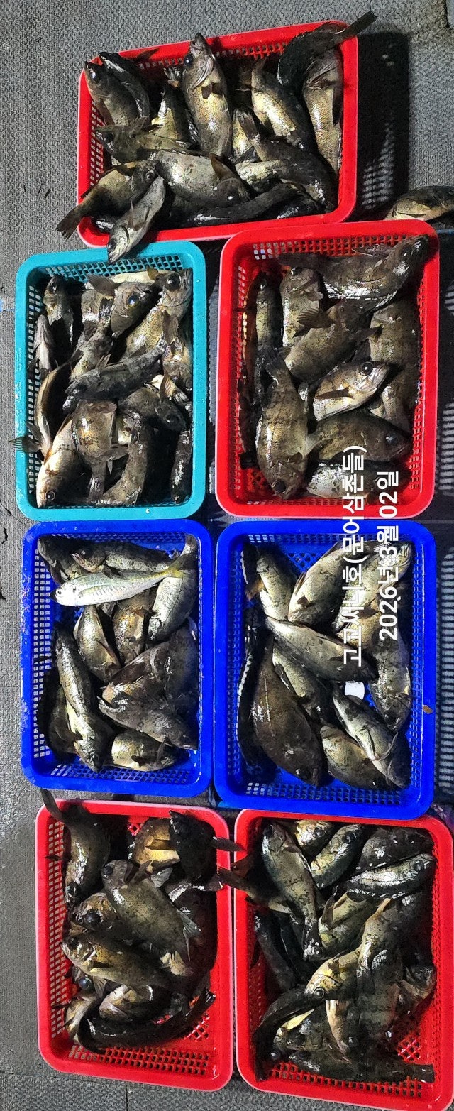 ����ڰ� �ø� �̹���