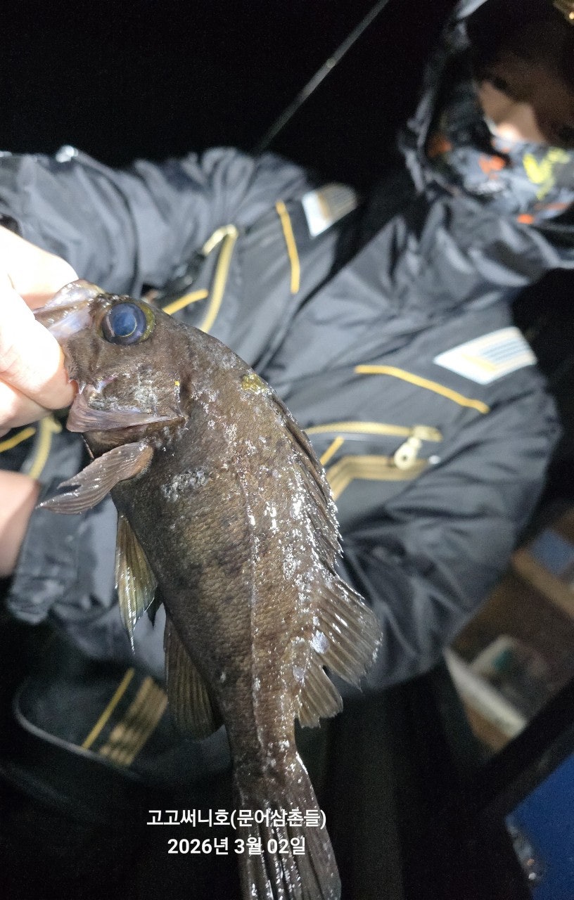 ����ڰ� �ø� �̹���