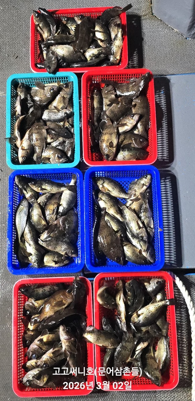 ����ڰ� �ø� �̹���