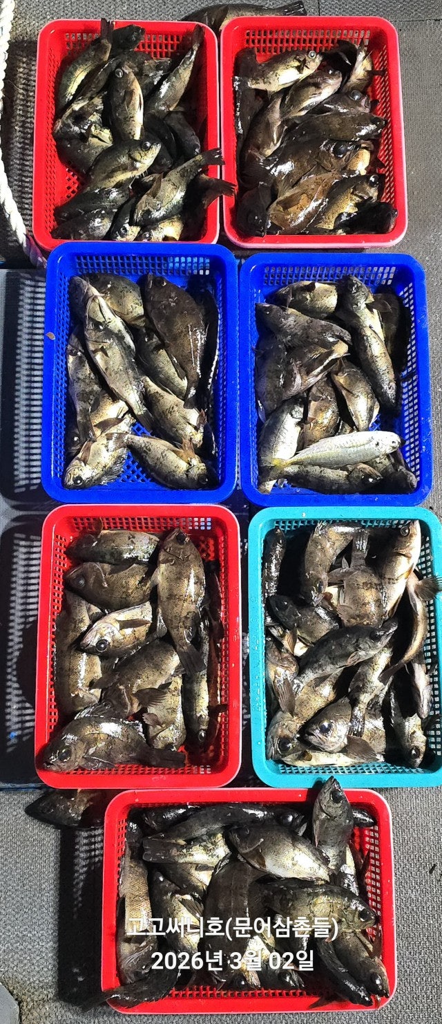 ����ڰ� �ø� �̹���